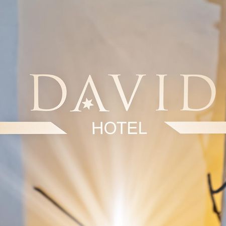 Hotel David An Der Donau Regensburg Exterior photo
